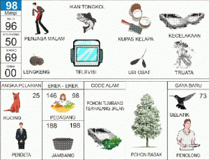 erek erek kucing